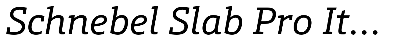 Schnebel Slab Pro Italic